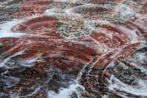 how to clean a persian rug
