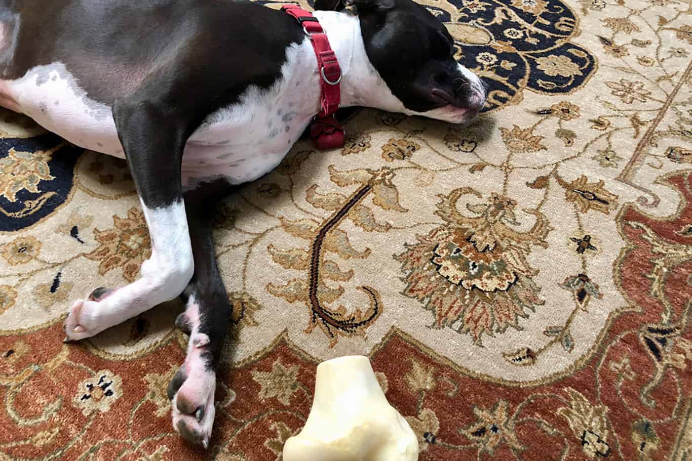 massive area rug